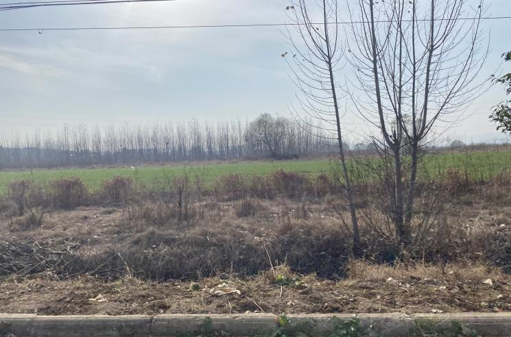 1670634423209049.png 圖片4.png