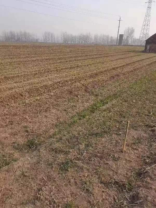 1672716336105388.png 圖片2.png