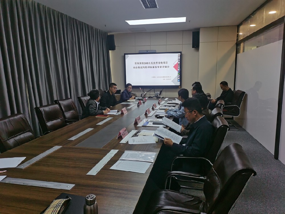 濱海光伏項目穩(wěn)評專家評審會順利召開！