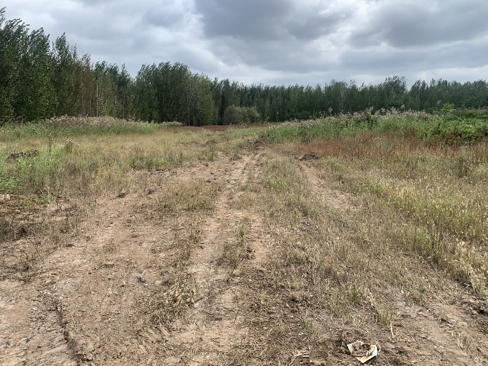 電動汽車配件研發(fā)與制造項目土地征收已順利完結(jié)！