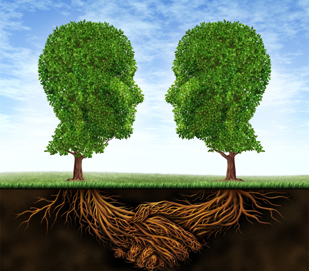 宿豫區(qū)五臺山路征收項目開展社會穩(wěn)定風(fēng)險評估